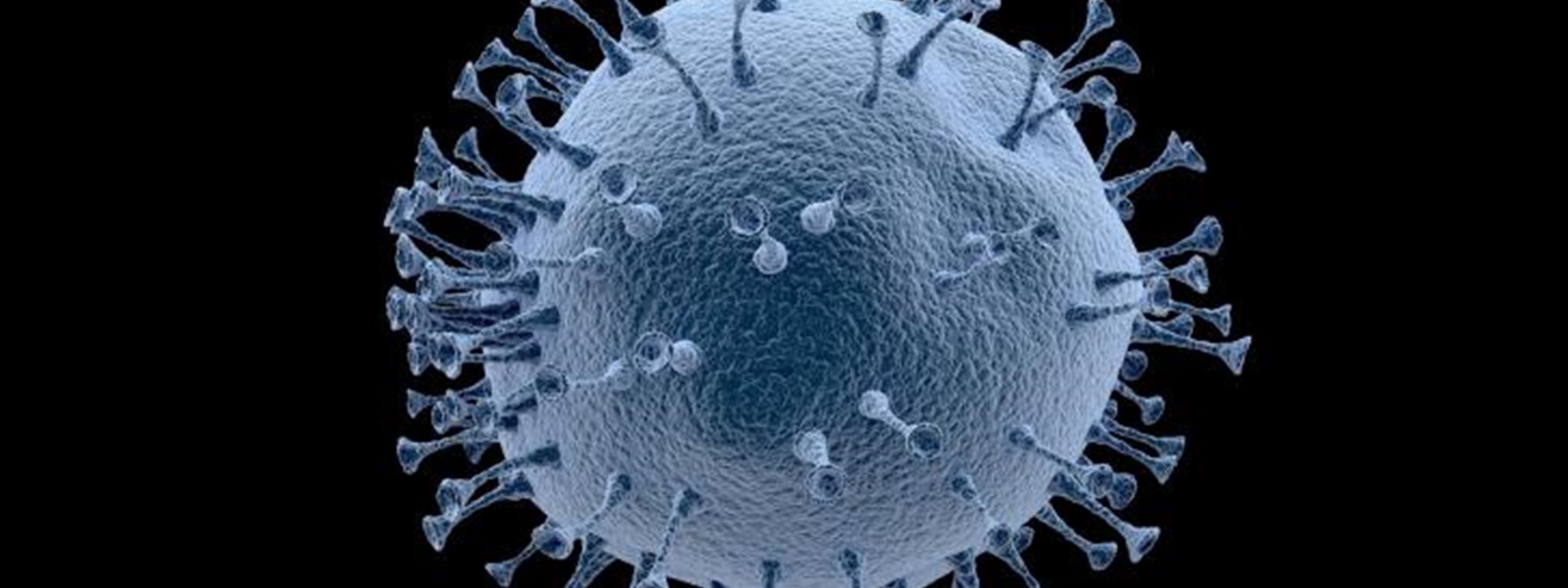 coronavirus.jpg